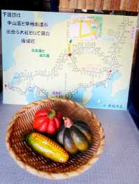 【長野県/下諏訪　創業明治6年　塩羊羹が有名な和菓子屋さん『新鶴本店』】