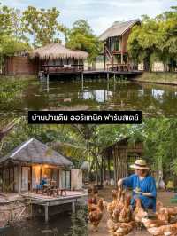 แจกแพลนเที่ยวสุพรรณบุรี 2 วัน 1 คืน รวม 7 พิกัดฮิต