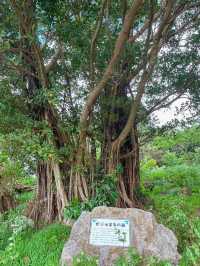 【沖縄】ピースマークのある公園で世界平和を