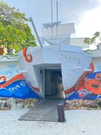 ร้านอาหารที่มีแสงจากพระอาทิตย์ตก