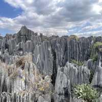 How a bout a stone forest?