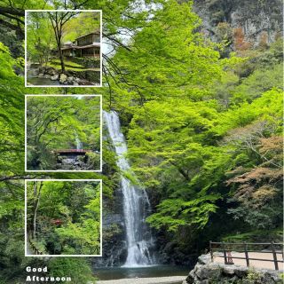 「大棚之滝」清新涼爽