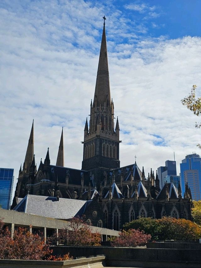 멜버른 🇦🇺 중후한 분위기의 고딕건축 성당 