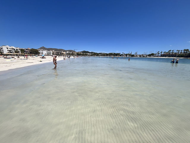 마요르카 Alcudia Beach