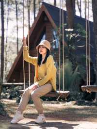 สวนป่าดอยบ่อหลวง อ.ฮอด Chiangmai