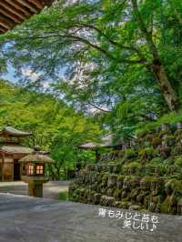 千二百体の羅漢さんに癒やされたい！そんな時は【愛宕念仏寺】
