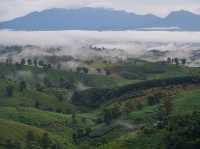 Nan Hillside at กิ่วม่วง - ที่พักวิวหลักล้าน