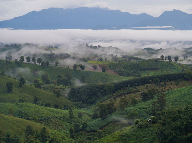 Nan Hillside at กิ่วม่วง - ที่พักวิวหลักล้าน