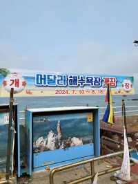 1년에 한번 해변포차가 열리는 어달해변