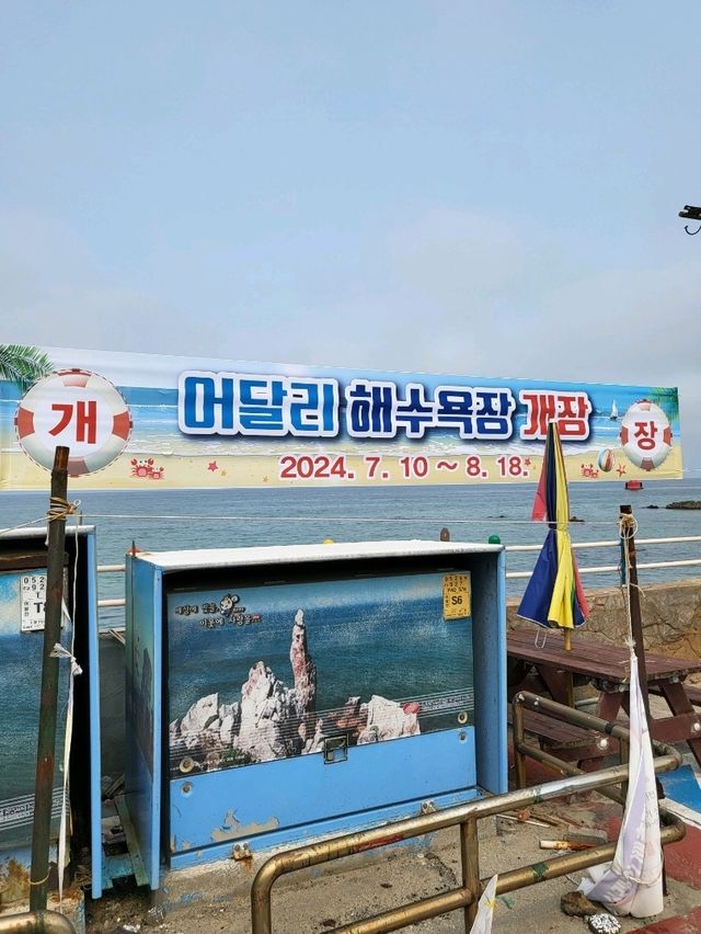 1년에 한번 해변포차가 열리는 어달해변