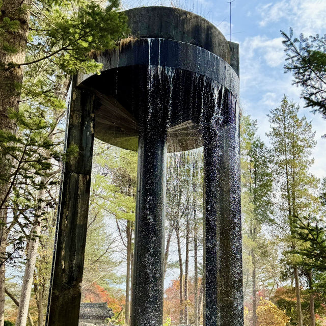 Enchanting Nami Island: A Serene Escape