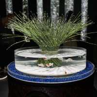 A Mesmerizing Experience at Art Aquarium Museum Ginza