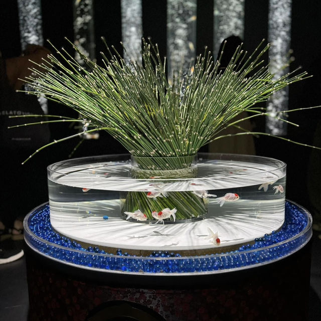 A Mesmerizing Experience at Art Aquarium Museum Ginza