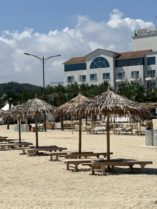 인싸의 성지 🏄‍♂️ 양양 인구해변 양리단길의 낮과 밤
