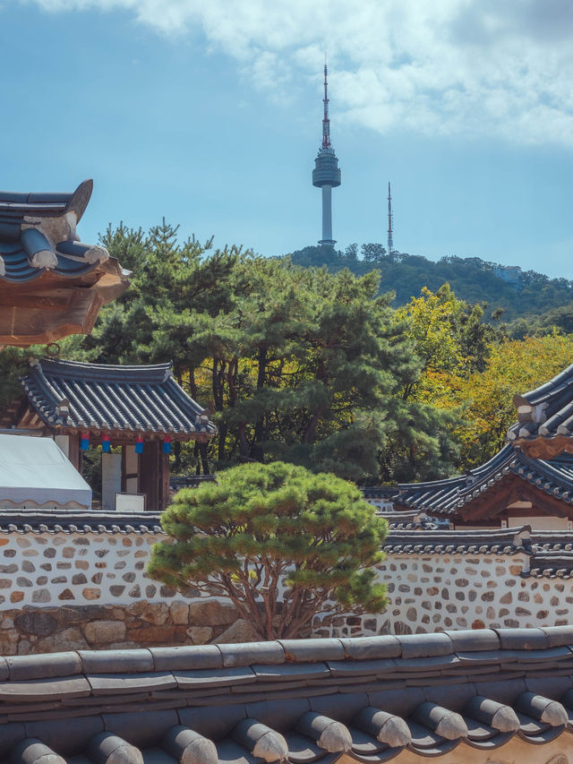도심 한 가운데서 휴양하는 이곳은 “남산골 한옥마을” 