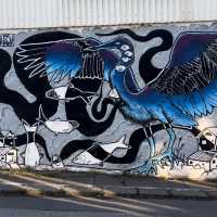 Explore the Charm of Reykjavik