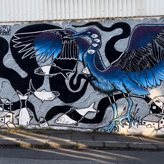 Explore the Charm of Reykjavik