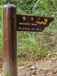 【香港】獅子山徒步：壯麗景色🏖️，全貌可見🔥🔥