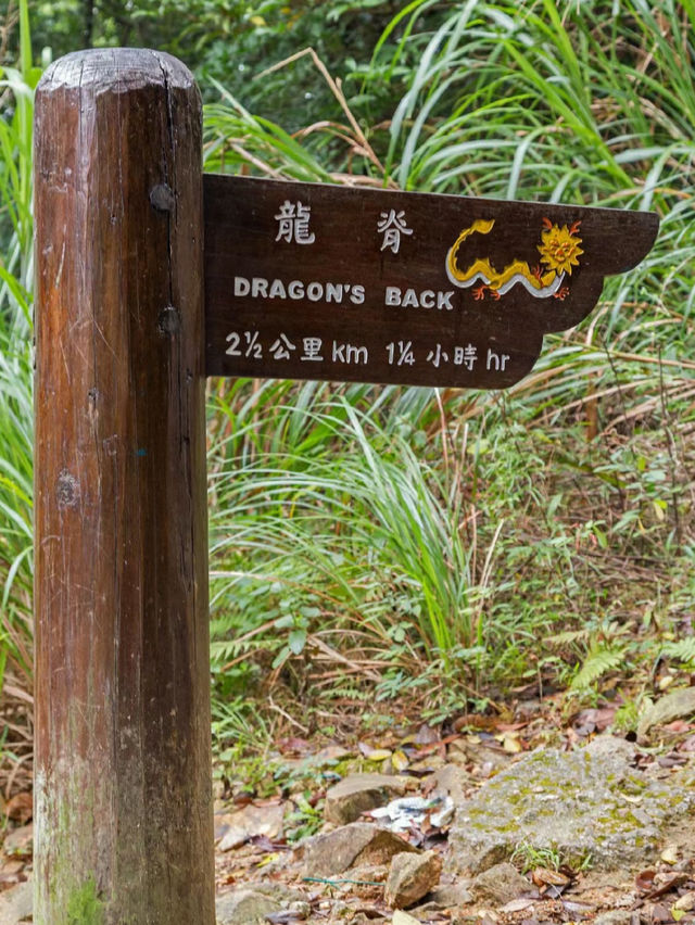 【香港】獅子山徒步：壯麗景色🏖️，全貌可見🔥🔥