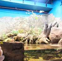 🇲🇾 Underwater World Langkawi: Your Gateway to Ocean Adventures