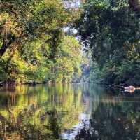 🇲🇾 Venture into Malaysia’s Ancient Taman Negara Forest