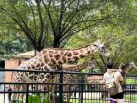 廣州動物園～好多動物睇丫
