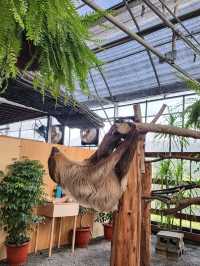 親親動物零距離