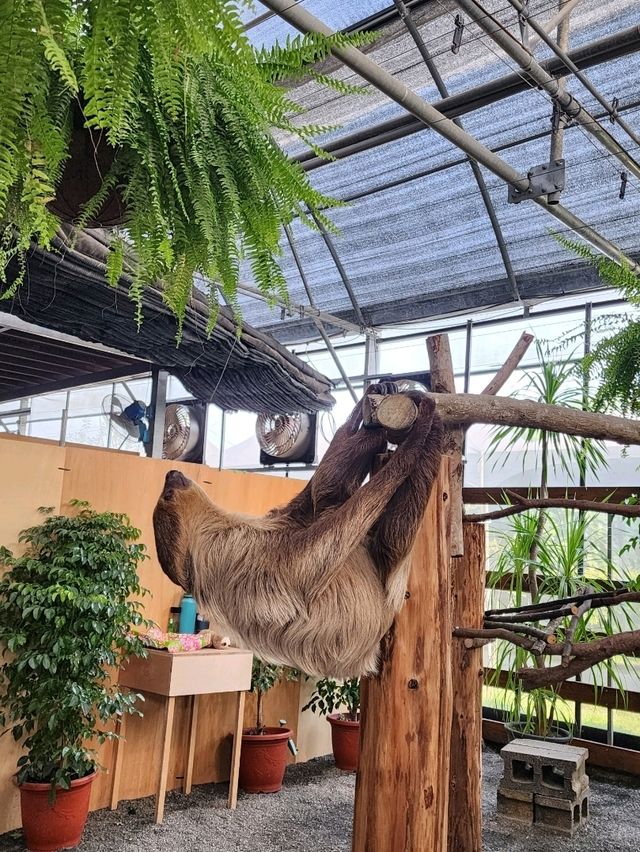 親親動物零距離