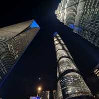 상하이의 꽃 <동방명주> 🏙🎇