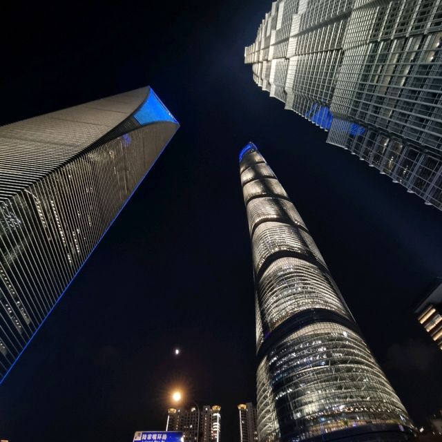 상하이의 꽃 <동방명주> 🏙🎇