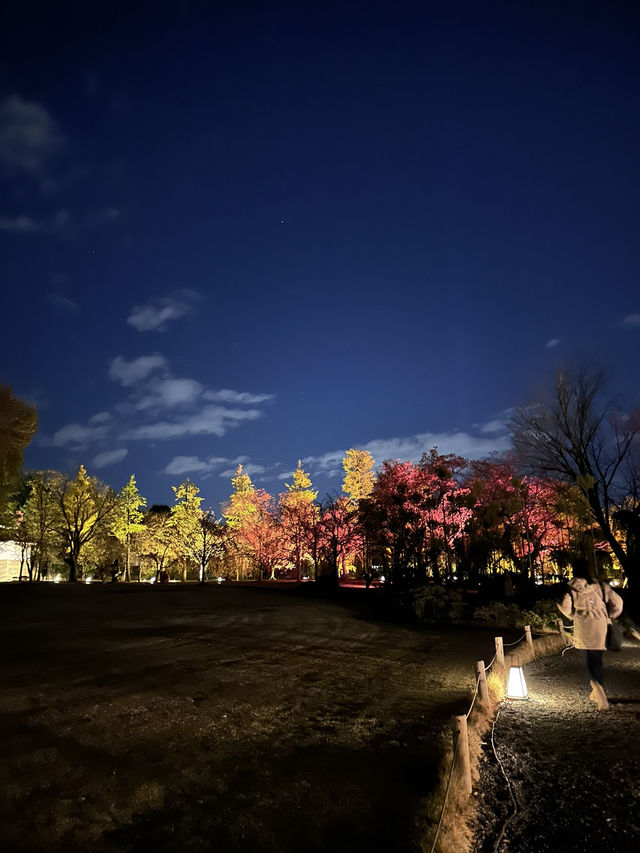 🇯🇵 京都世界遺產二條城 一定要晚上來！🎇