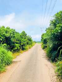 小浜島でサイクリング🚲