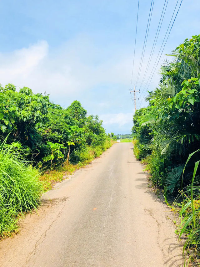 小浜島でサイクリング🚲