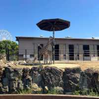 多摩動物公園～親子遊好地方