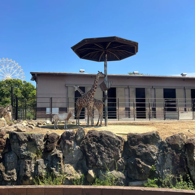 多摩動物公園～親子遊好地方