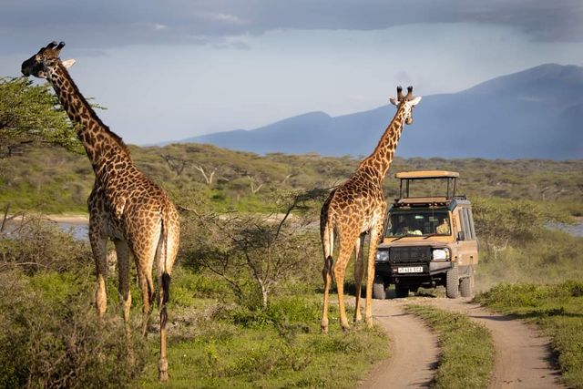 5 Day Tanzania Wildlife Safari Explore Serengeti, Ngorongoro Crater Lake Manyara and Tarangire