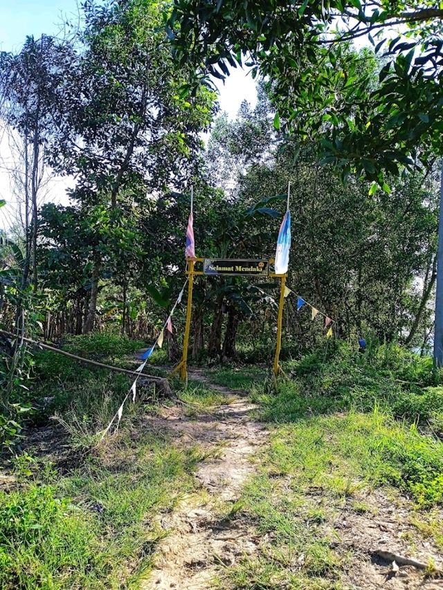 IOI Peak Starting Point