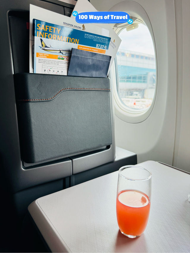 ✈️ Fly with me on Singapore Airlines to Chengdu TFU