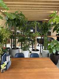 【福岡カフェ】室内なのにグリーンがいっぱいの癒し系カフェ🌿