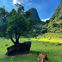 長興城山溝景區：風光旖旎的自然秘境 🌳🏞️