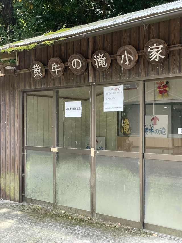 暑い日に行きたい！マイナスイオンを感じられるスポット