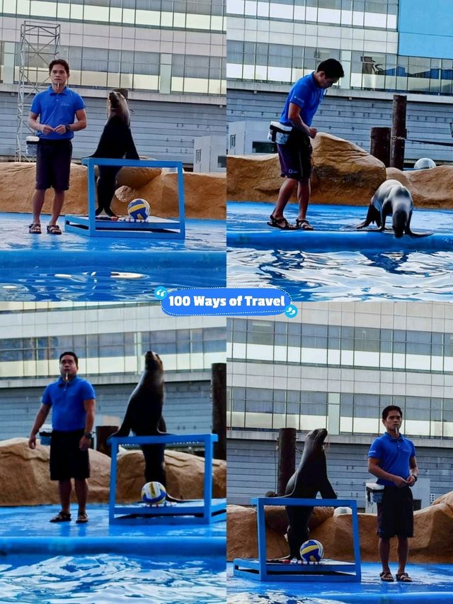 🇵🇭 Sea Lion Show 📍Manila Ocean Park