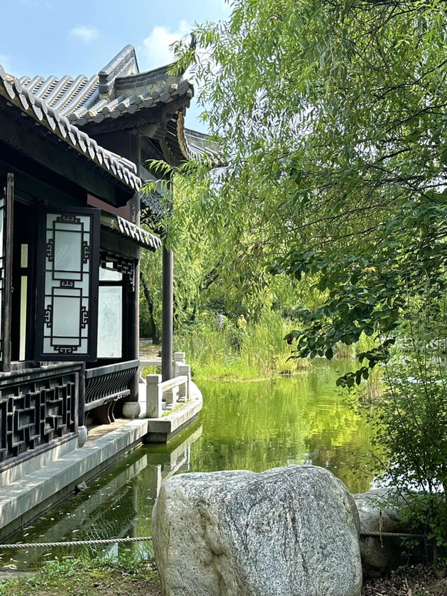도심 속 중국식 전통공원 월화원 🌿