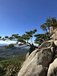 Get your cardio up at Gwanaksan mountain trail!