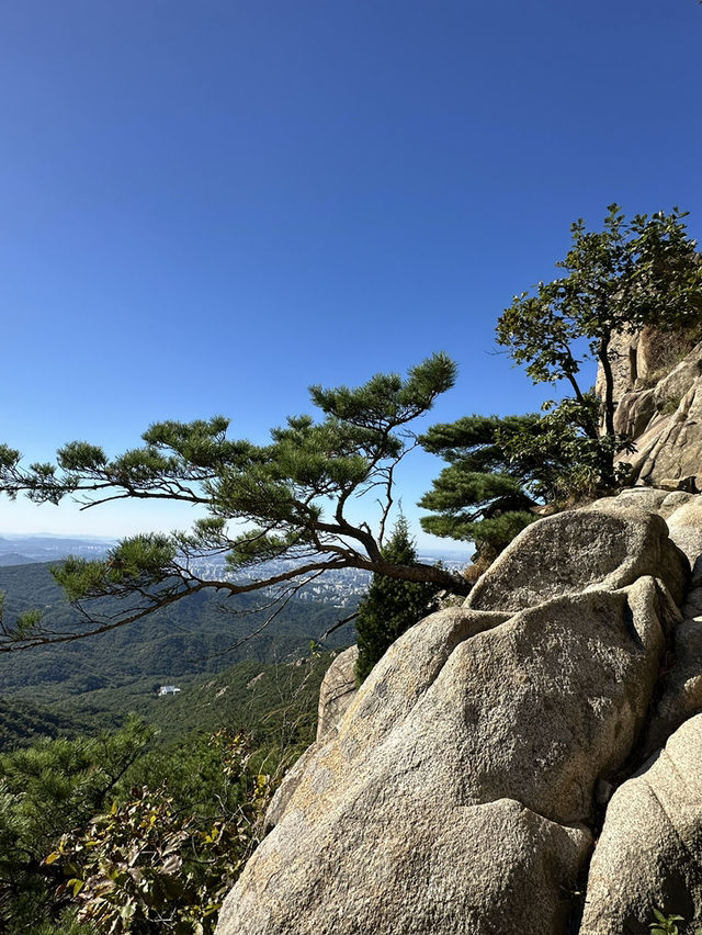 Get your cardio up at Gwanaksan mountain trail!