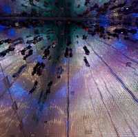 Tokyo Teamlab Borderless