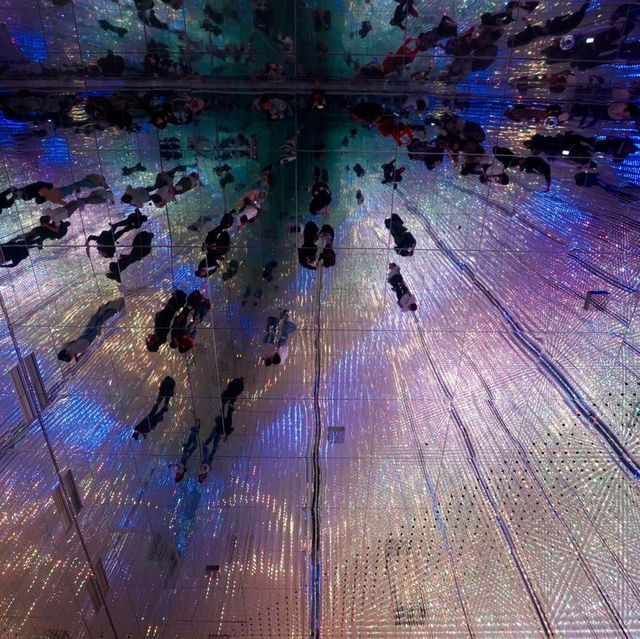 Tokyo Teamlab Borderless
