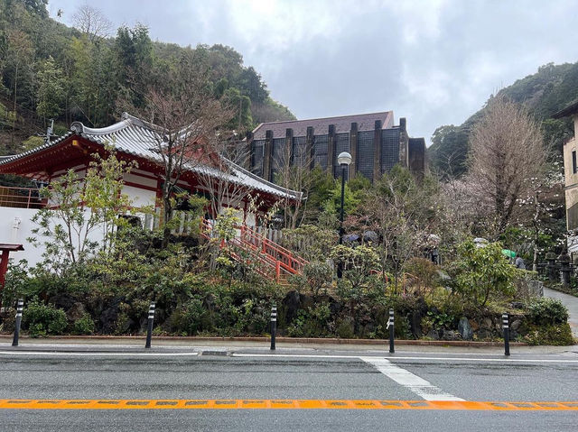Nanzoin Temple 