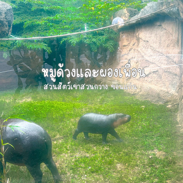 สวนสัตว์เขาสวนกวาง ขอนแก่น