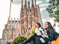 【スペイン】未完の聖堂🏗️ガウディ建築の最高峰✨